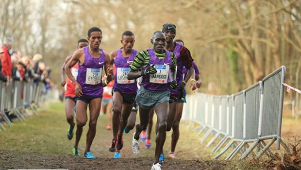 24e marathon de la rochelle serge vigot 9 000 coureurs sur le vieux port