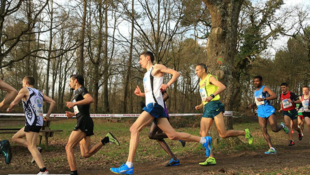 la bc 730 la mini balance intelligente et glamour