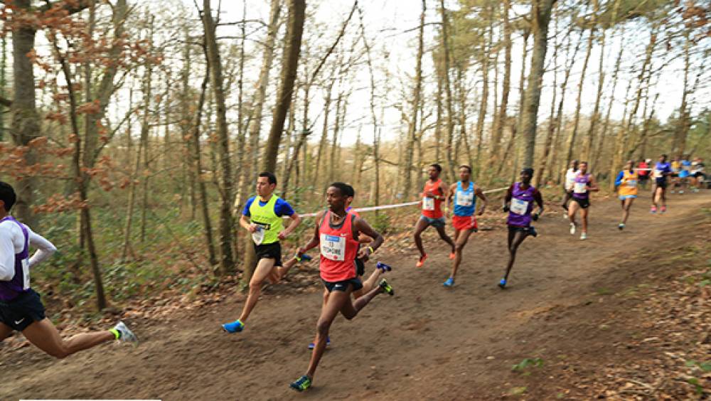 bupa great birmingham run christelle daunay en lice face linet masai sur semi marathon 2