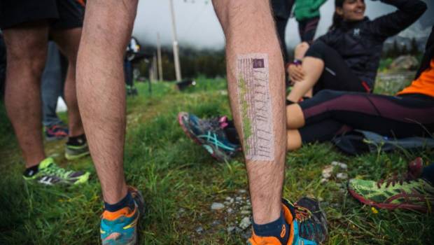 diagonale des fous indomptable francois dhaene