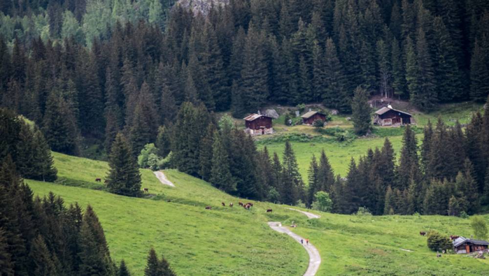 championnats de france de semi marathon patricia laubertie et james theuri sacres