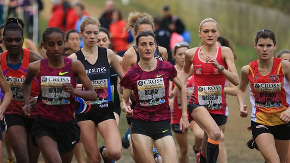 la ligne bleue du marathon dans le vert des champs de cross