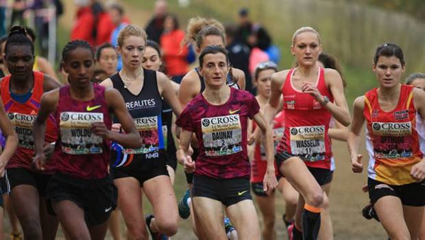 la ligne bleue du marathon dans le vert des champs de cross