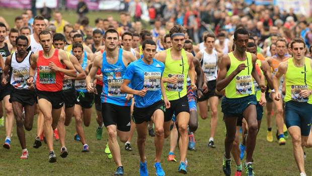 romain collenot spriet tout pour lete 2