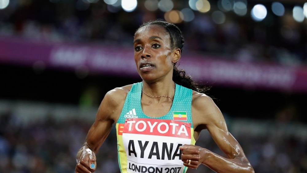 meeting areva dibaba et ayana vers le record du monde