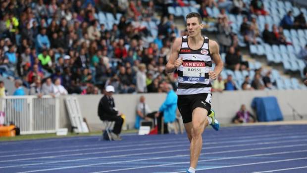 des france elite a laccent pekinois