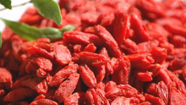 des aliments qui preservent lorganisme