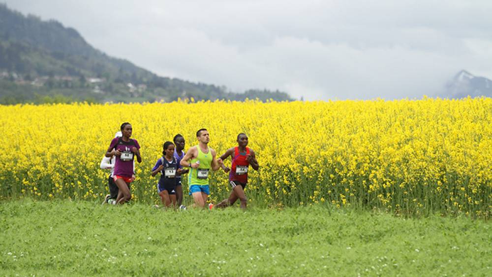 marathon de geneve une edition 2016 new look