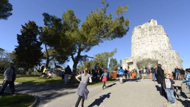plus de 2 500 coureurs a lassaut du 1er nimes urban trail