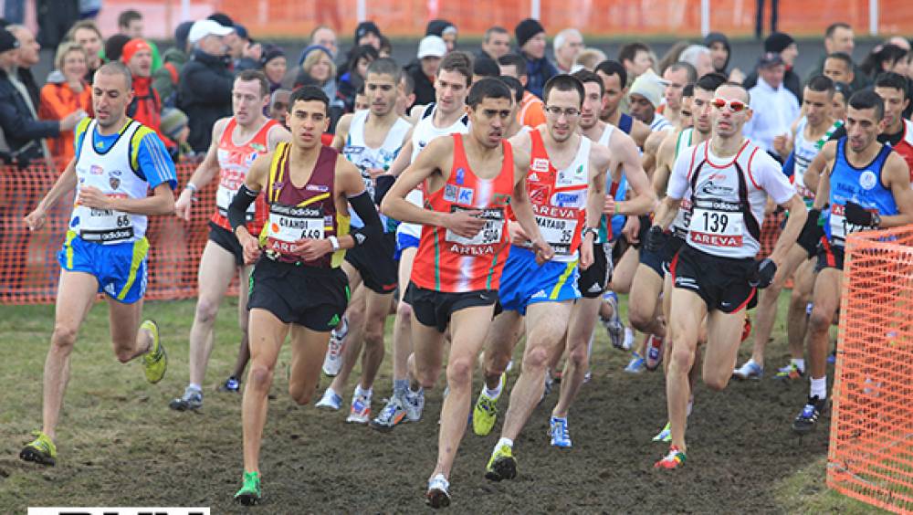 france de cross un remake chahdi amdouni