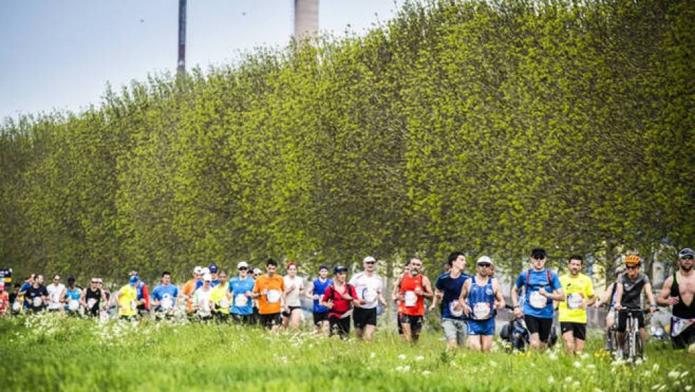pres de 90 000 coureurs classes pour la wings for life world run