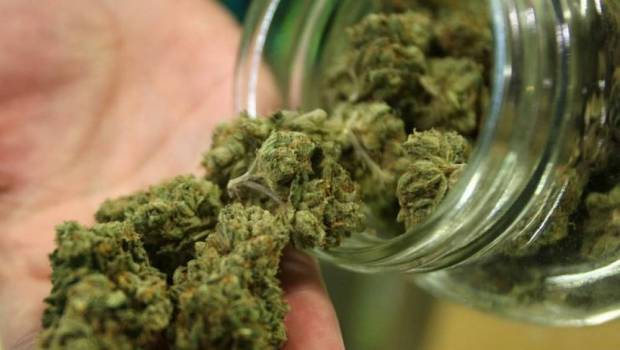 le cannabis conjoint aux courses dultra