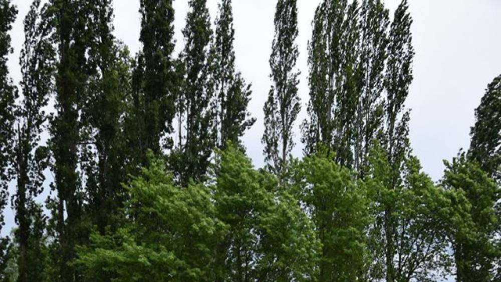 martin casse chaque course comme si cetait la derniere