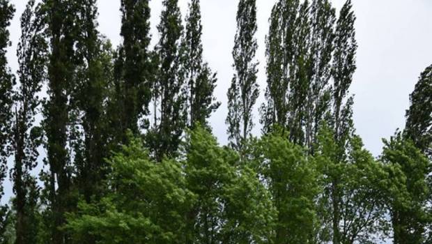 martin casse chaque course comme si cetait la derniere