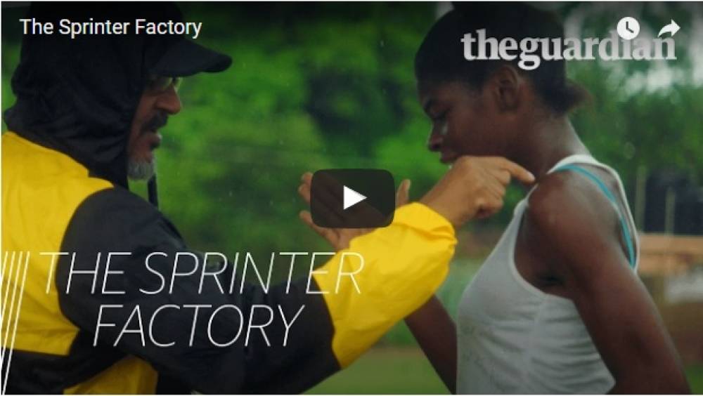 video plongee au coeur de la folie des champs en jamaique