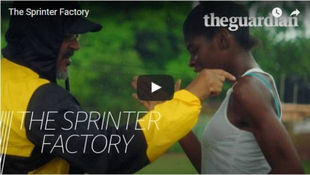 video plongee au coeur de la folie des champs en jamaique