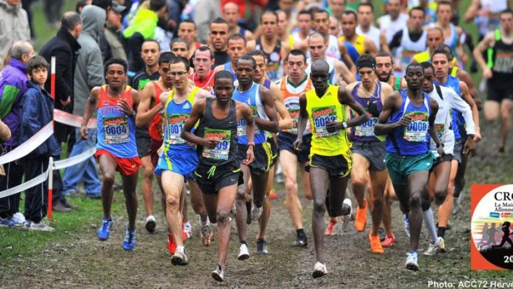 cross ils iront aux europe