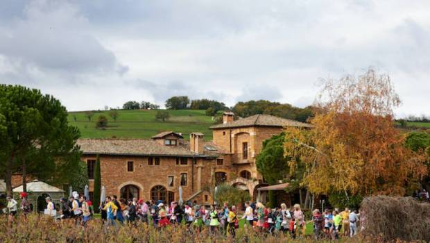 record de participation pour le marathon du beaujolais