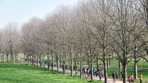 coup de fil a jerome toulouse directeur de course de lecotrail paris