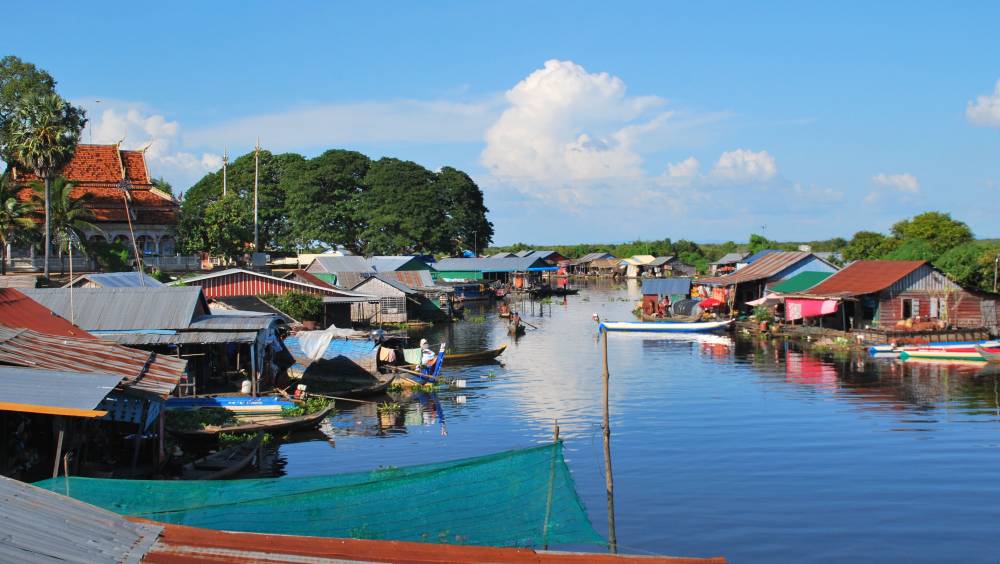 foret inondee tonle sap ecosysteme unique monde
